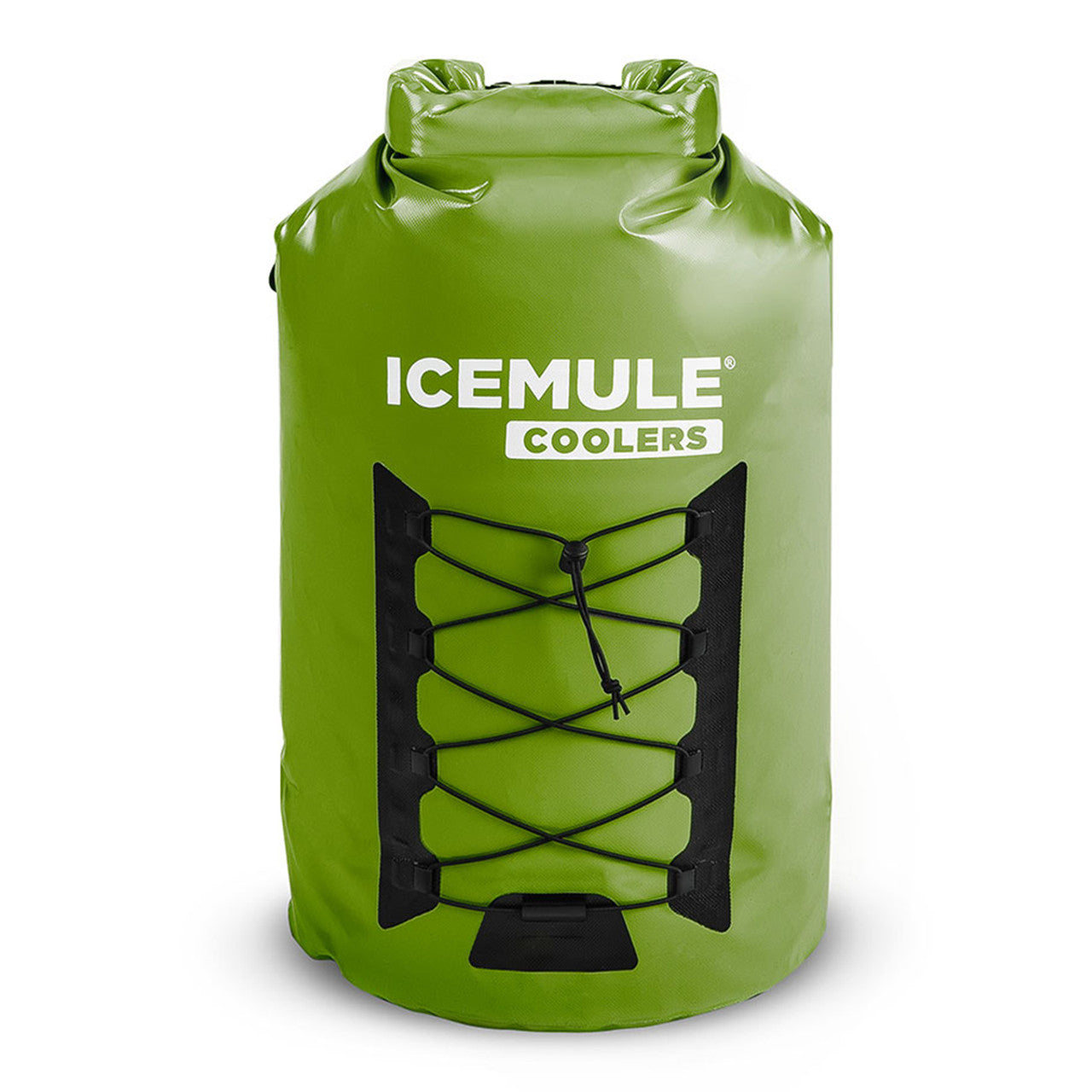 Icemule Pro Sea Green Insulated Travel Backpack Cooler