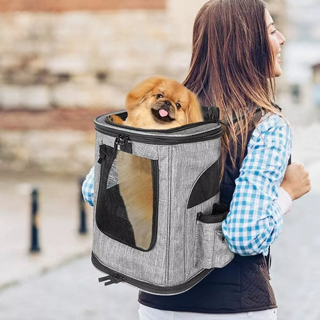 Ventilated Travel Pet Backpack Carrier for Cats & Small Dogs