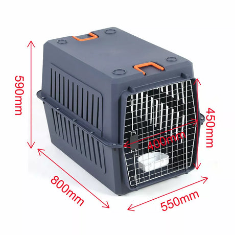 Large Blue Airline Approved Pet Carrier Travel Crate