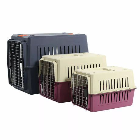 Large Blue Airline Approved Pet Carrier Travel Crate